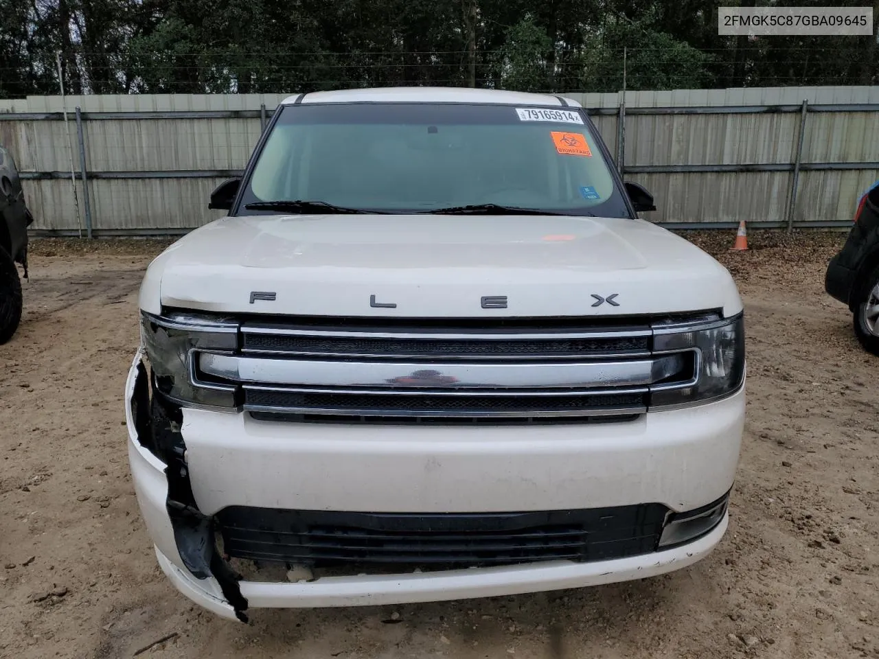 2016 Ford Flex Sel VIN: 2FMGK5C87GBA09645 Lot: 79165914