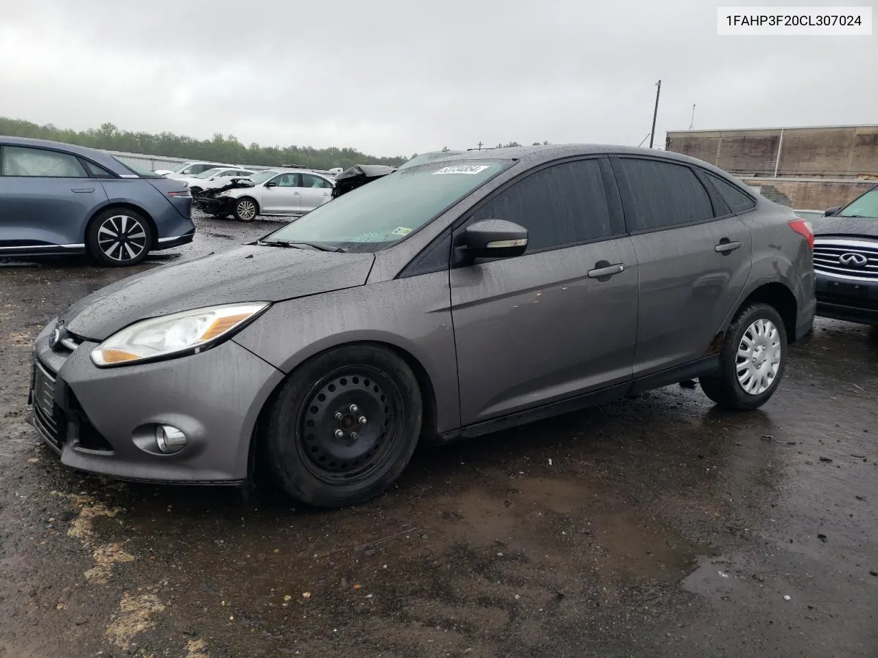 2012 Ford Focus Se VIN: 1FAHP3F20CL307024 Lot: 53734854