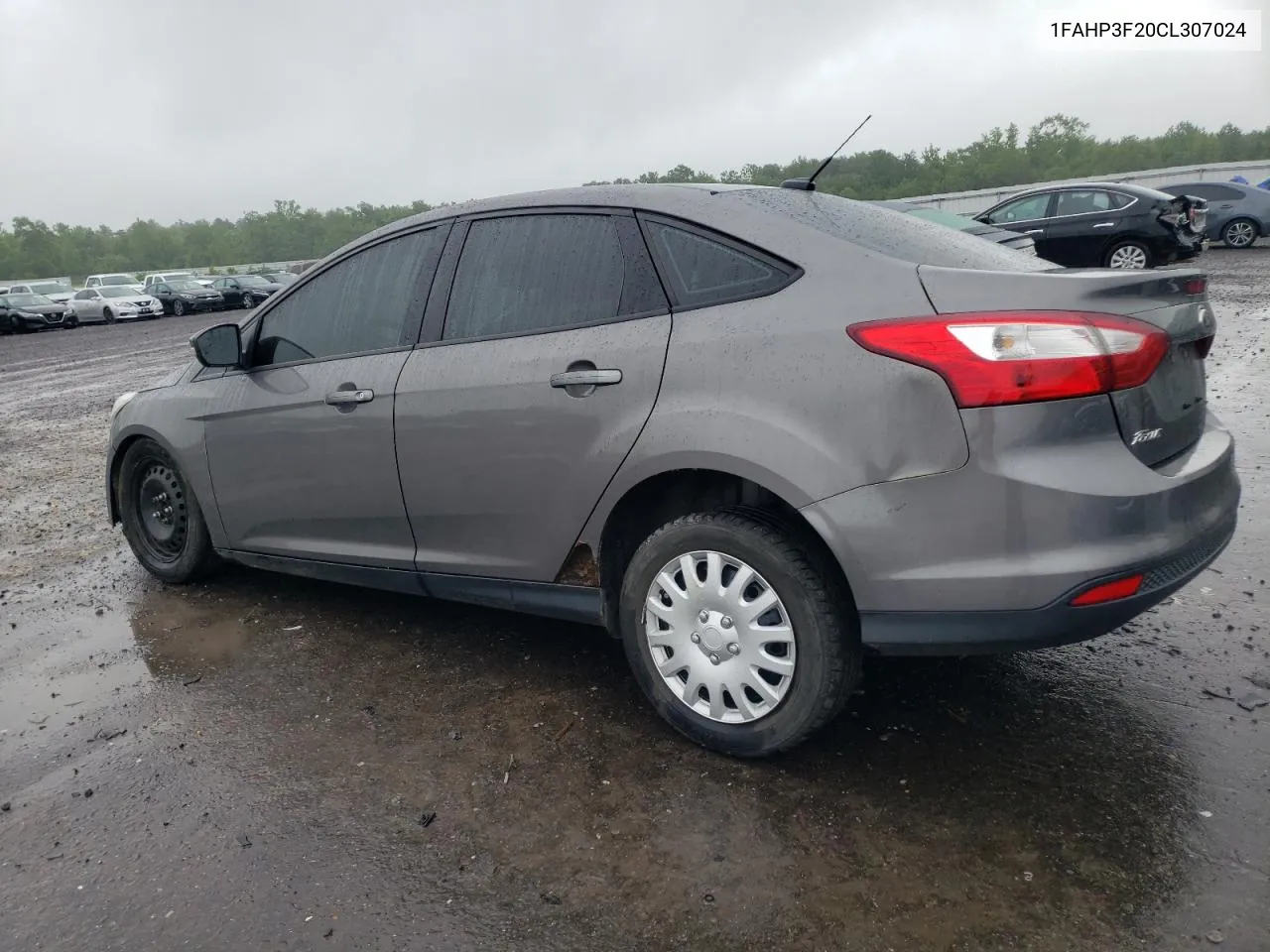 2012 Ford Focus Se VIN: 1FAHP3F20CL307024 Lot: 53734854