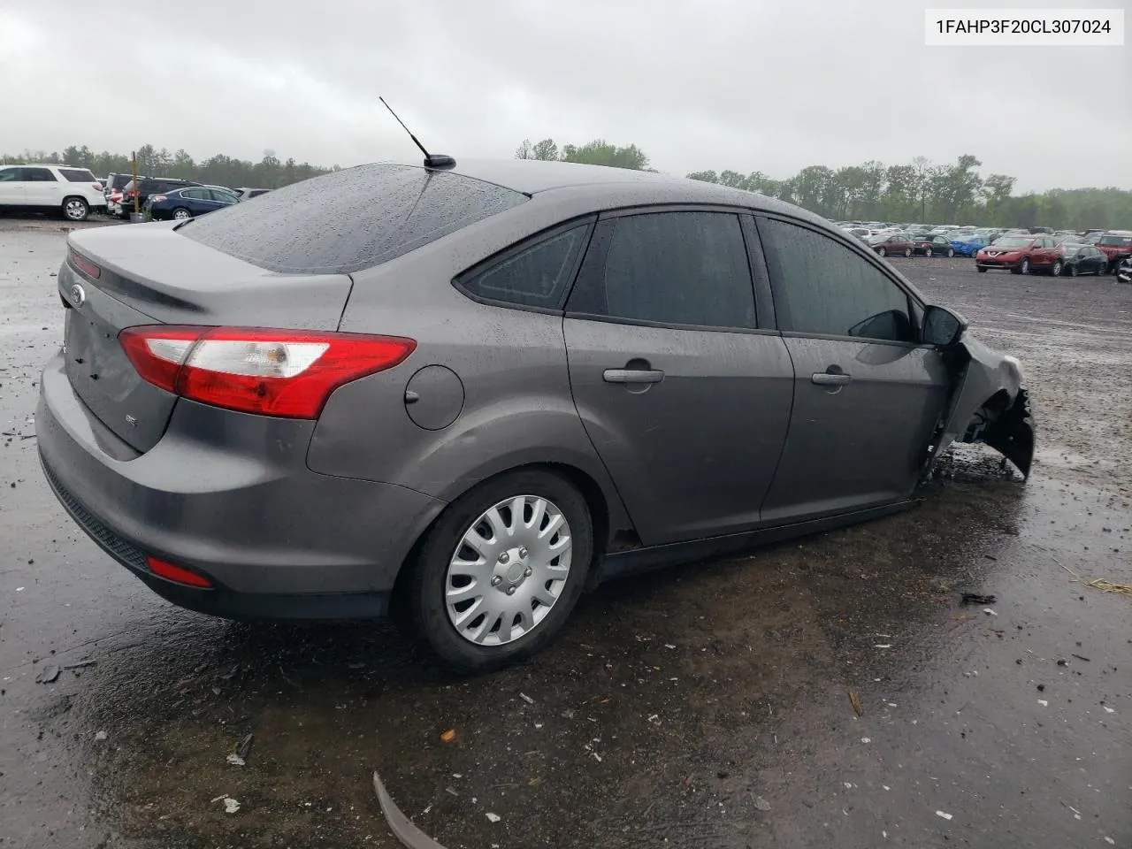 2012 Ford Focus Se VIN: 1FAHP3F20CL307024 Lot: 53734854