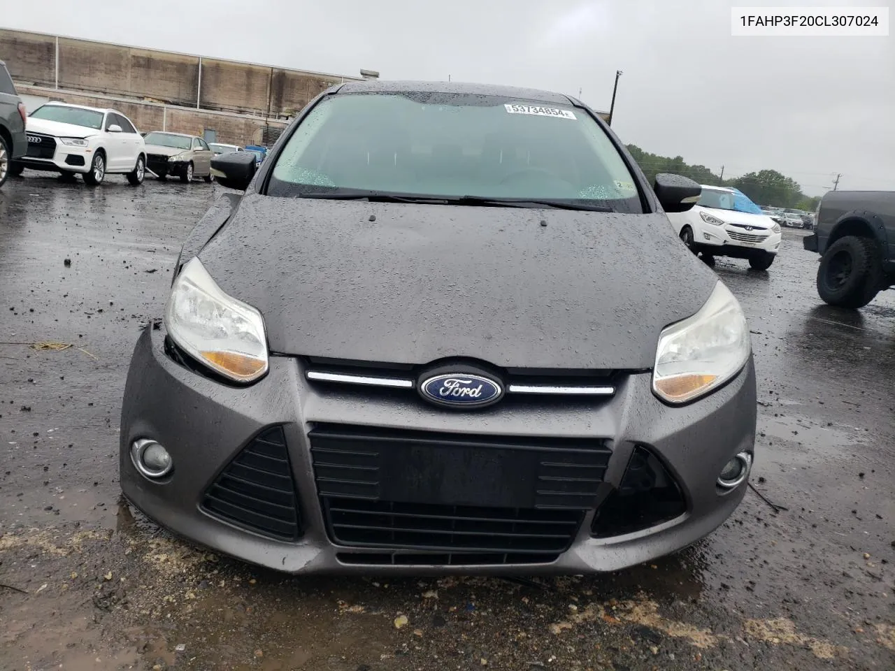 2012 Ford Focus Se VIN: 1FAHP3F20CL307024 Lot: 53734854