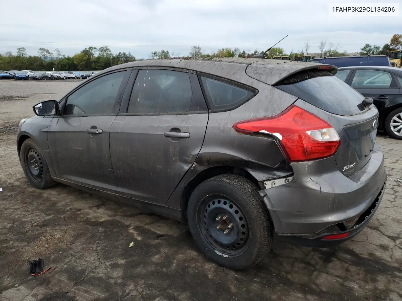 2012 Ford Focus Se VIN: 1FAHP3K29CL134206 Lot: 73129674