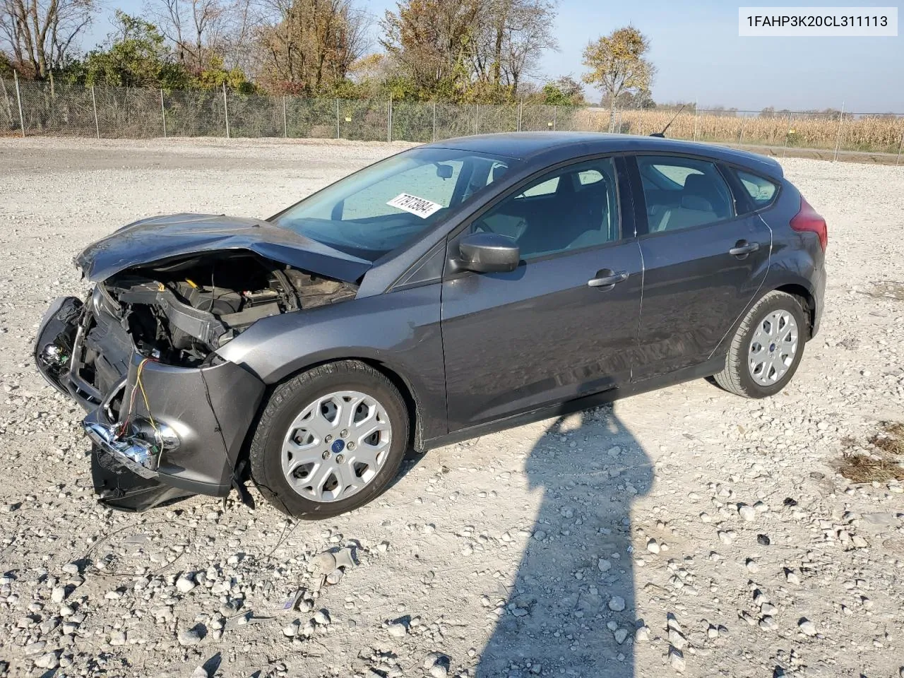 2012 Ford Focus Se VIN: 1FAHP3K20CL311113 Lot: 77973984