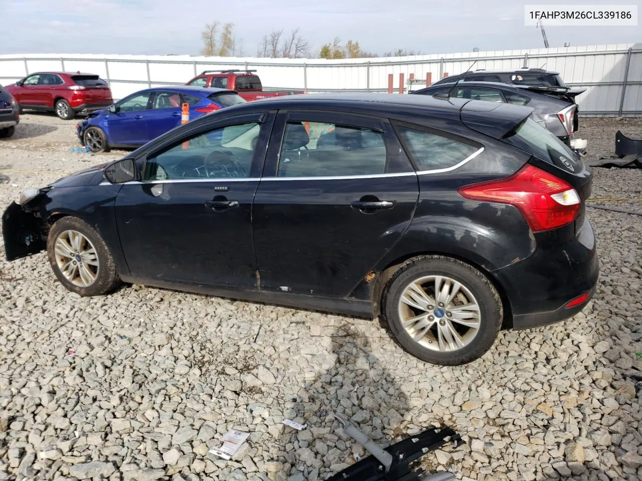 2012 Ford Focus Sel VIN: 1FAHP3M26CL339186 Lot: 77979274