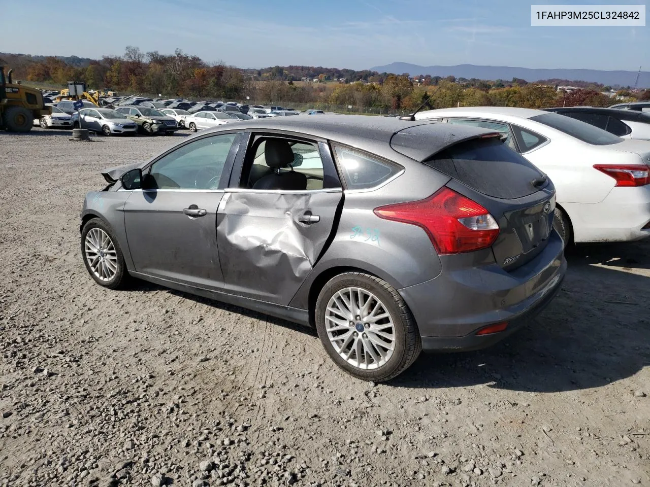 2012 Ford Focus Sel VIN: 1FAHP3M25CL324842 Lot: 78099054