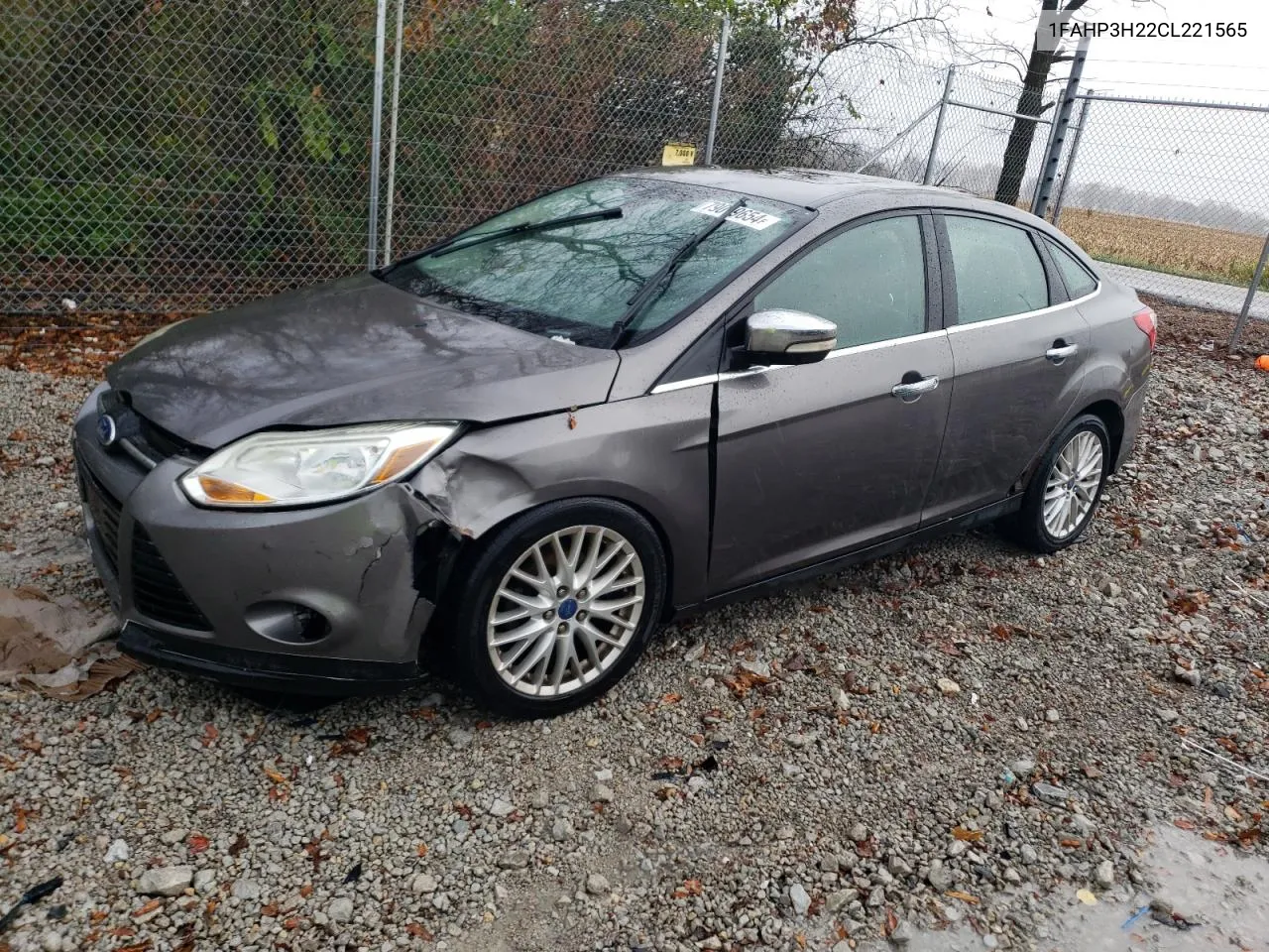 2012 Ford Focus Sel VIN: 1FAHP3H22CL221565 Lot: 79019654