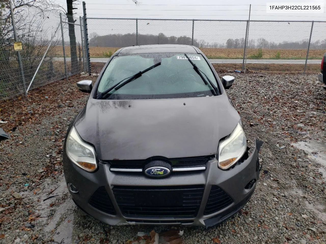 2012 Ford Focus Sel VIN: 1FAHP3H22CL221565 Lot: 79019654