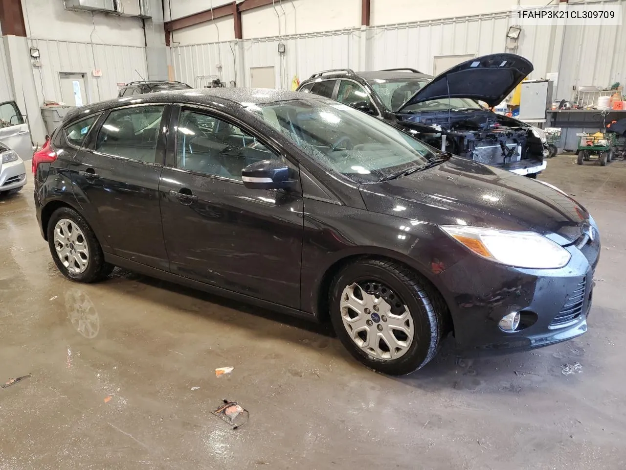 2012 Ford Focus Se VIN: 1FAHP3K21CL309709 Lot: 79219844