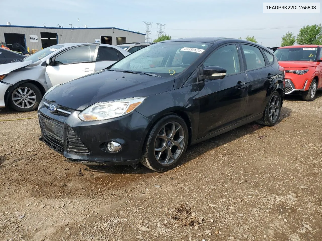 2013 Ford Focus Se VIN: 1FADP3K22DL265803 Lot: 55393654