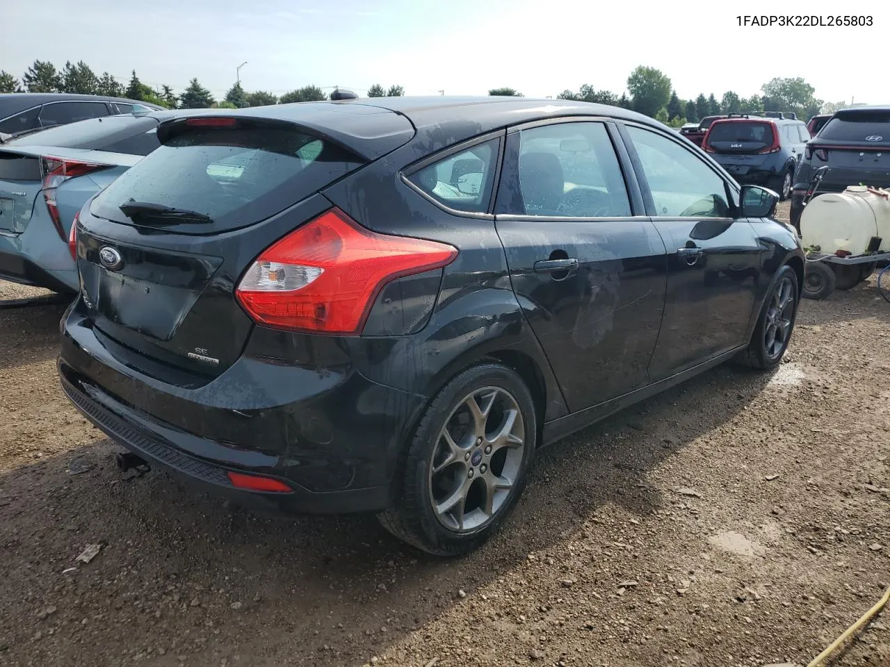 2013 Ford Focus Se VIN: 1FADP3K22DL265803 Lot: 55393654