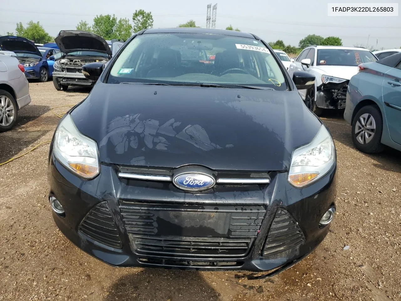 2013 Ford Focus Se VIN: 1FADP3K22DL265803 Lot: 55393654