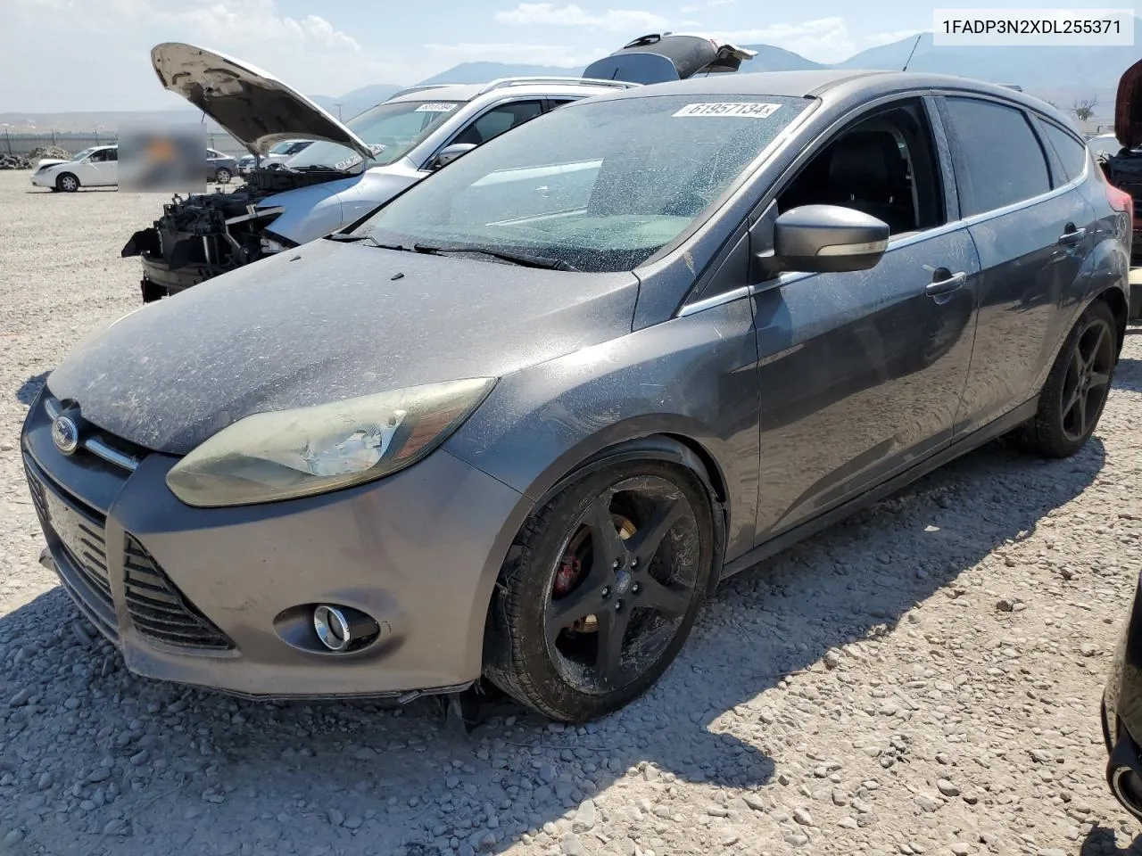 2013 Ford Focus Titanium VIN: 1FADP3N2XDL255371 Lot: 61957134