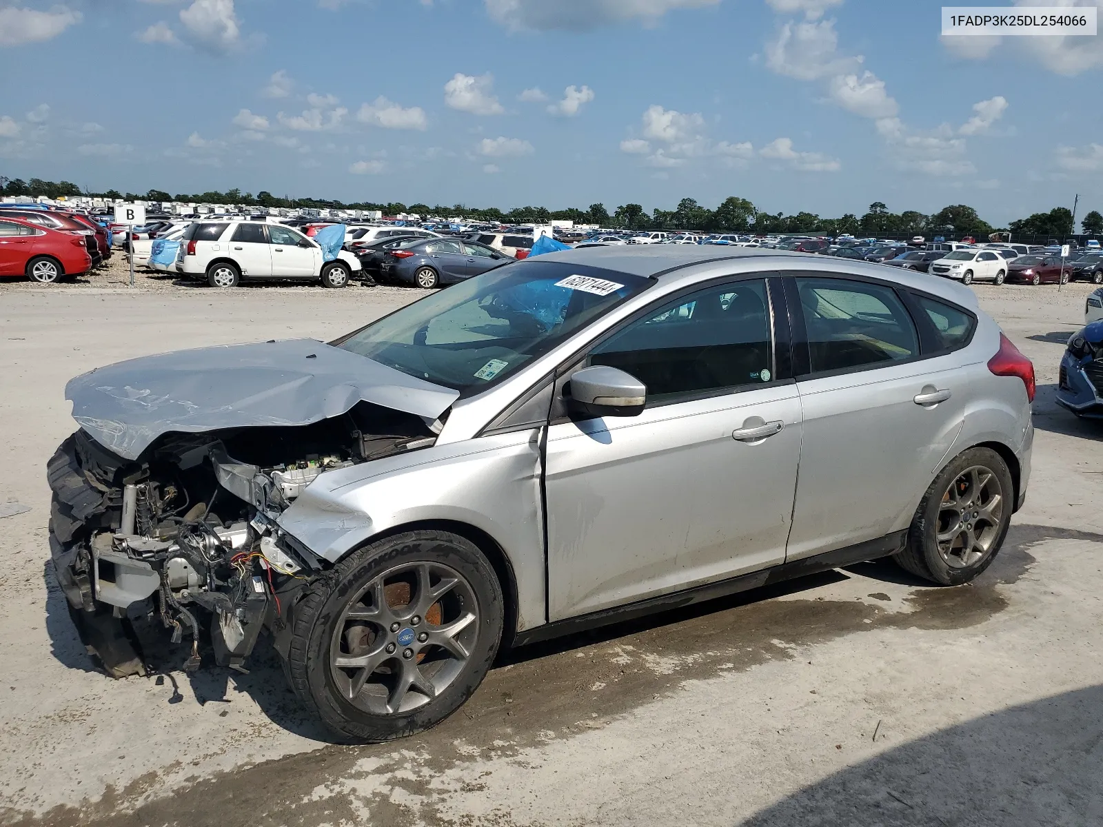 2013 Ford Focus Se VIN: 1FADP3K25DL254066 Lot: 62871444