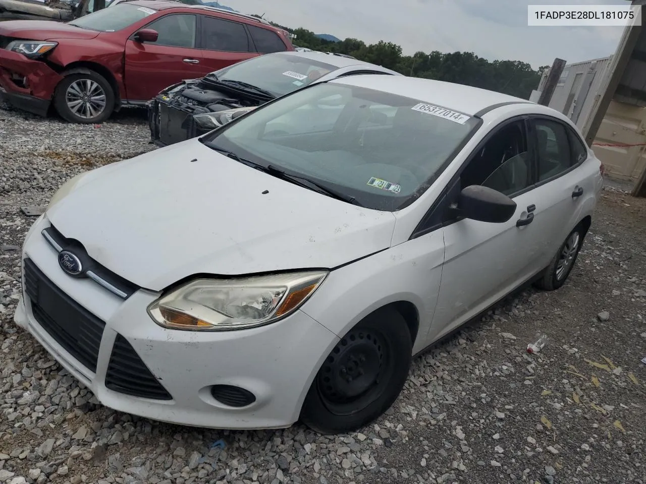 2013 Ford Focus S VIN: 1FADP3E28DL181075 Lot: 65377014