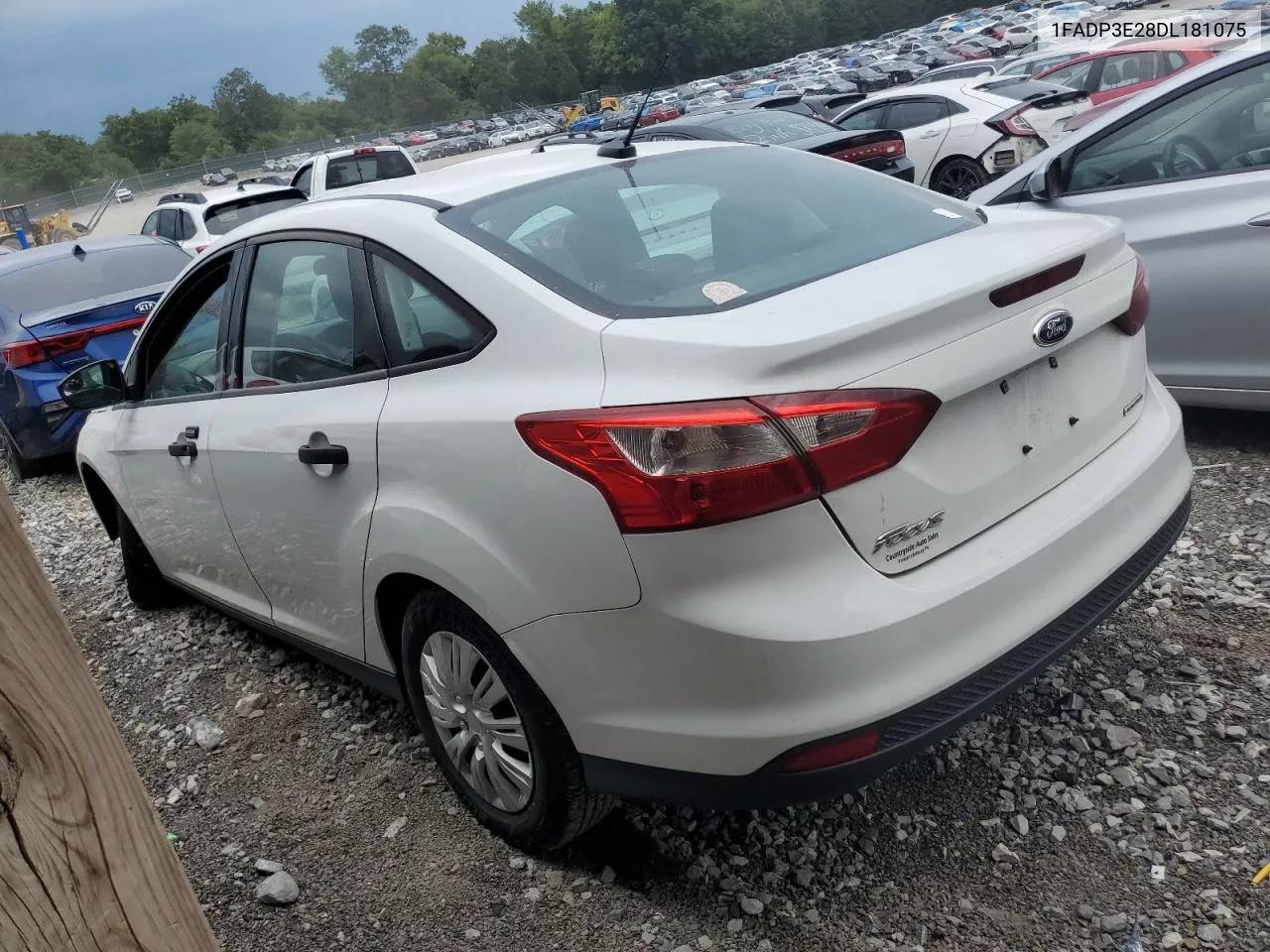 2013 Ford Focus S VIN: 1FADP3E28DL181075 Lot: 65377014