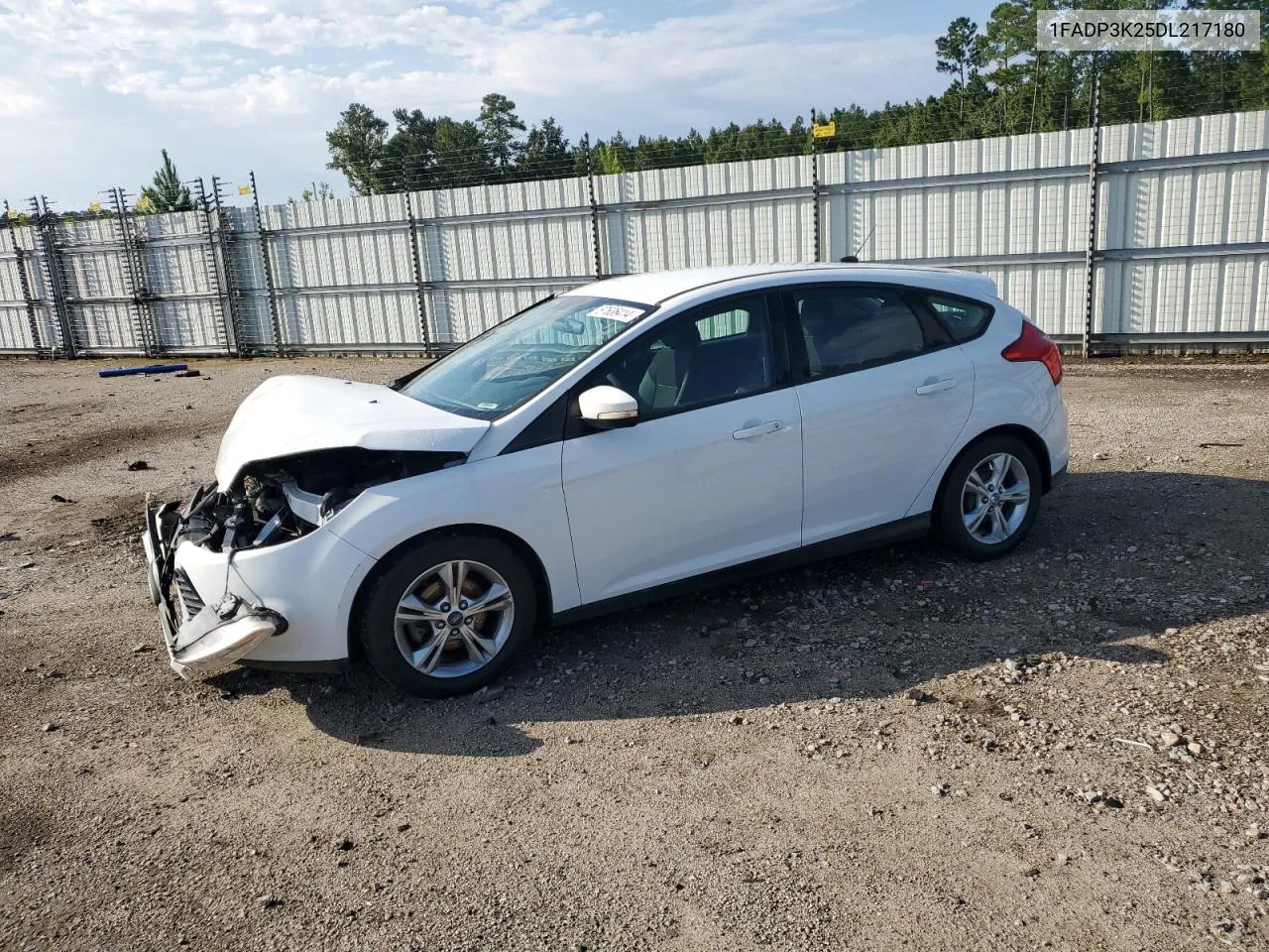 2013 Ford Focus Se VIN: 1FADP3K25DL217180 Lot: 67636414