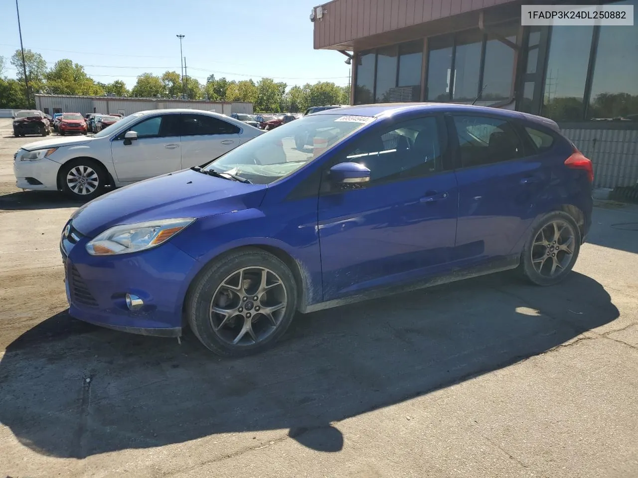 2013 Ford Focus Se VIN: 1FADP3K24DL250882 Lot: 69994944