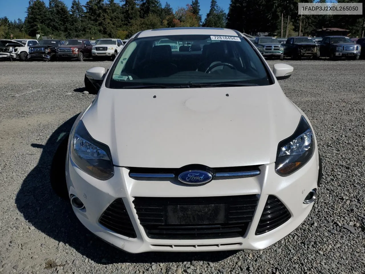 2013 Ford Focus Titanium VIN: 1FADP3J2XDL265050 Lot: 72818494