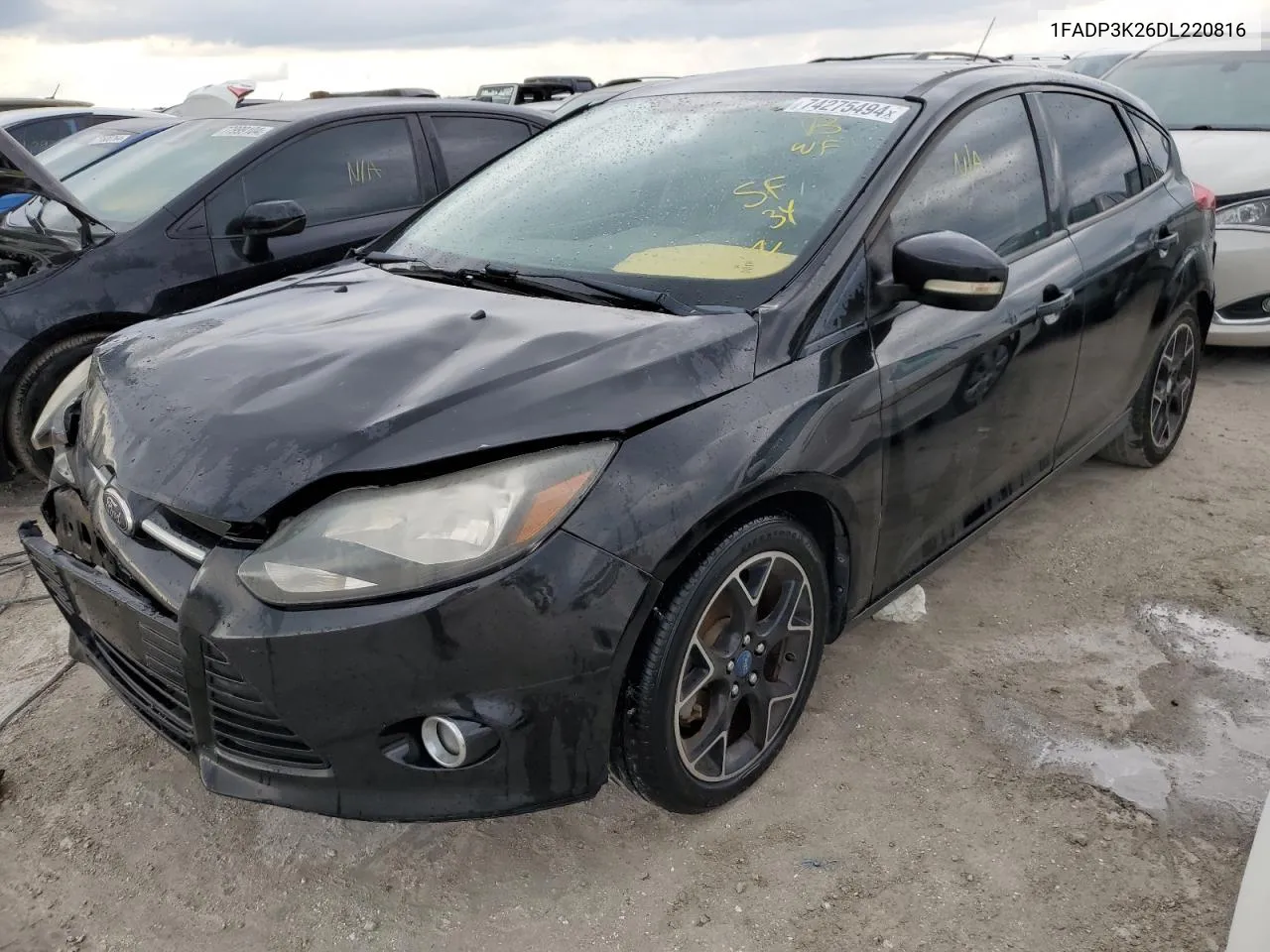 2013 Ford Focus Se VIN: 1FADP3K26DL220816 Lot: 74275494