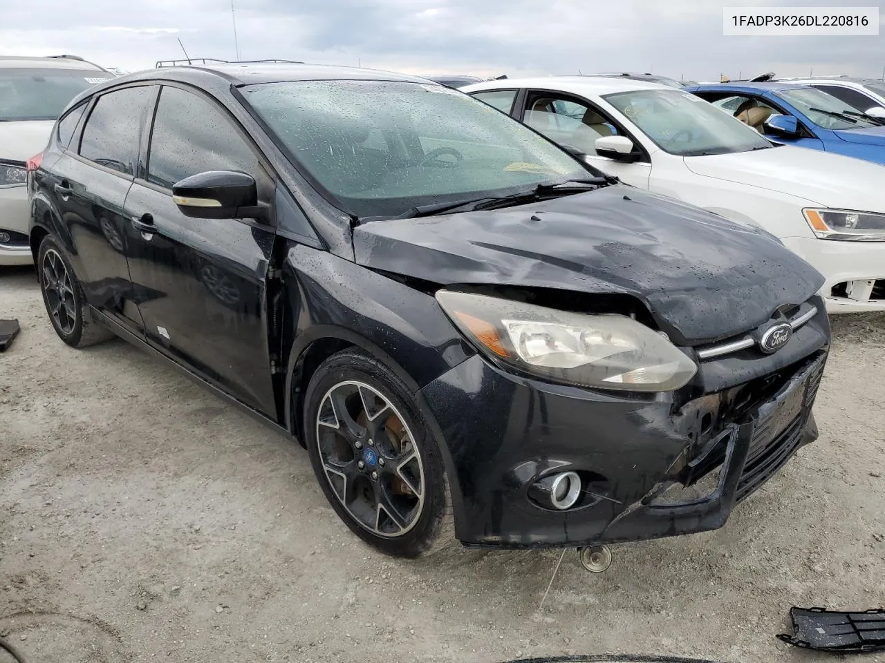 2013 Ford Focus Se VIN: 1FADP3K26DL220816 Lot: 74275494