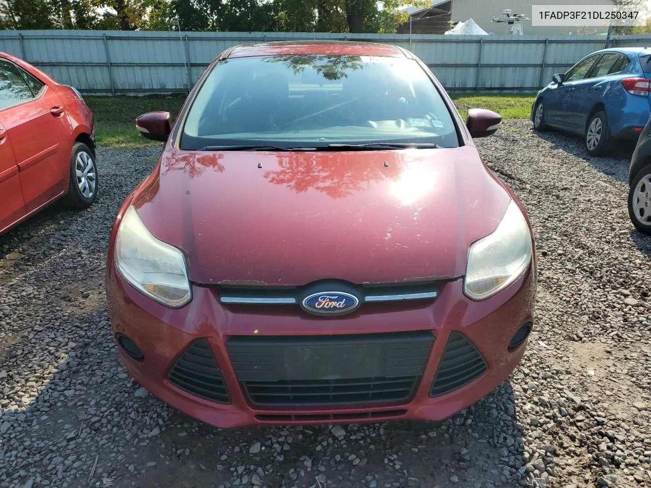 2013 Ford Focus Se VIN: 1FADP3F21DL250347 Lot: 75704624