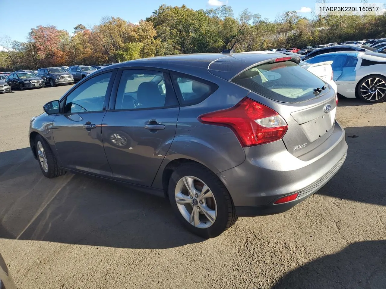 2013 Ford Focus Se VIN: 1FADP3K22DL160517 Lot: 75961904