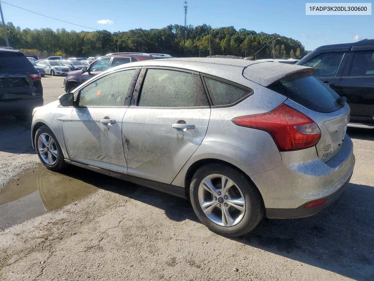 2013 Ford Focus Se VIN: 1FADP3K20DL300600 Lot: 76413714