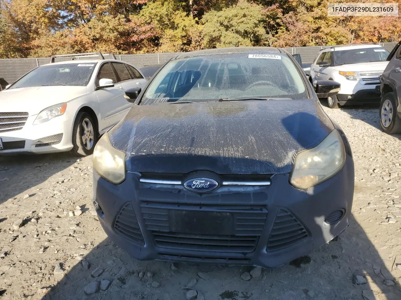 2013 Ford Focus Se VIN: 1FADP3F29DL231609 Lot: 78056584