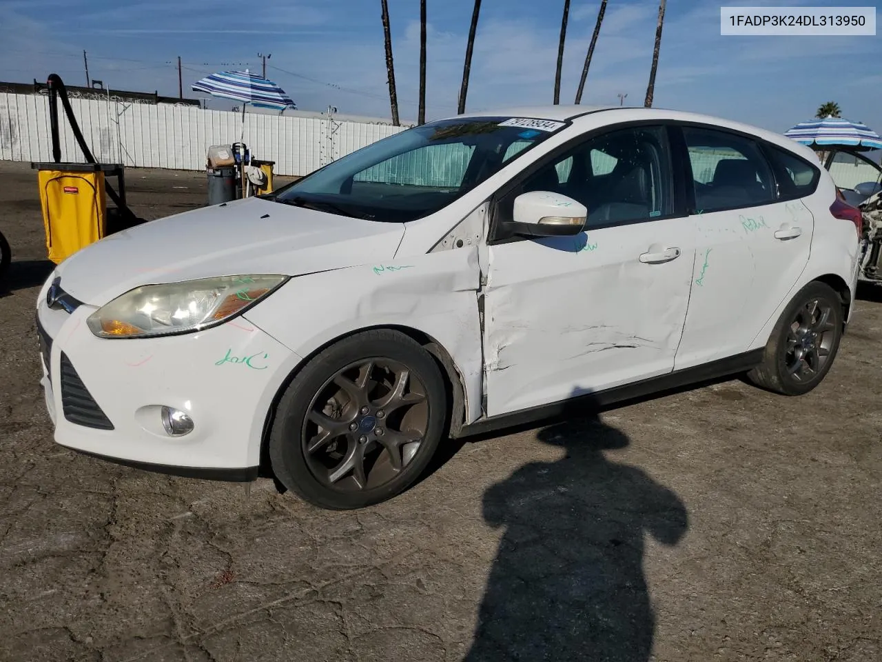 2013 Ford Focus Se VIN: 1FADP3K24DL313950 Lot: 79128934