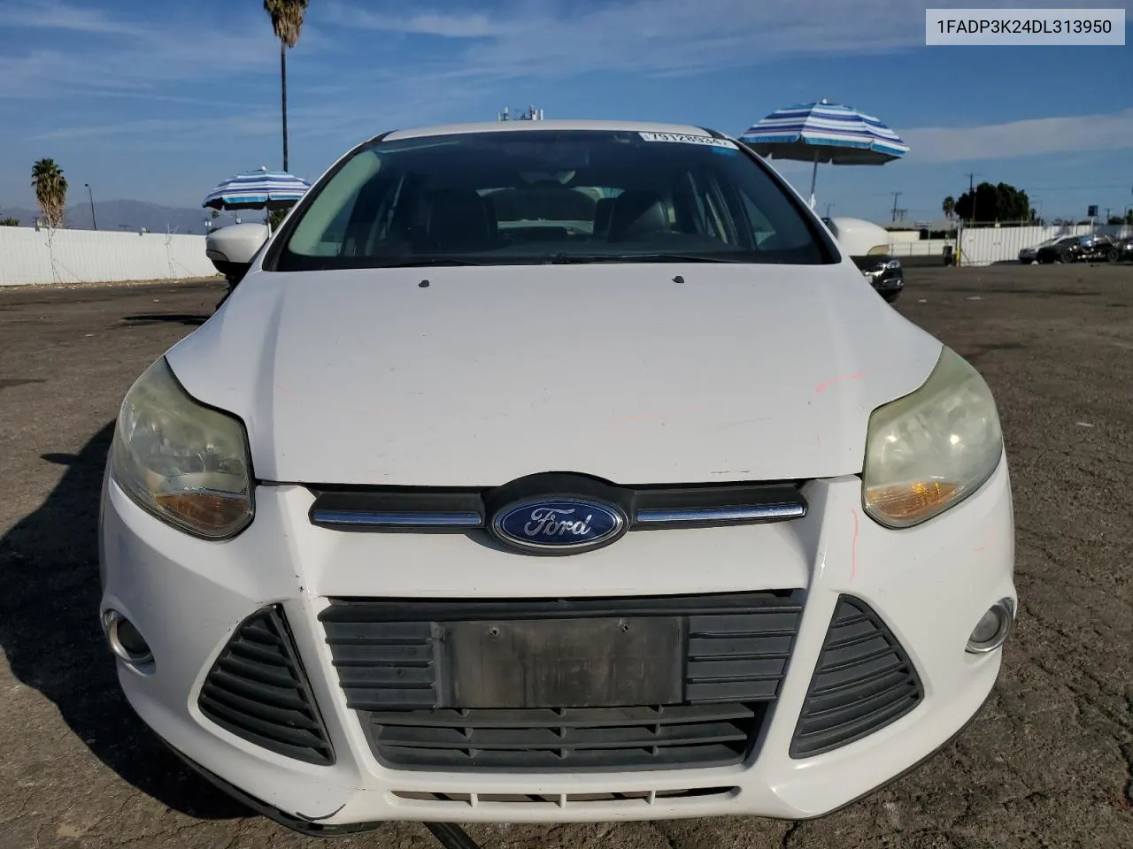 2013 Ford Focus Se VIN: 1FADP3K24DL313950 Lot: 79128934