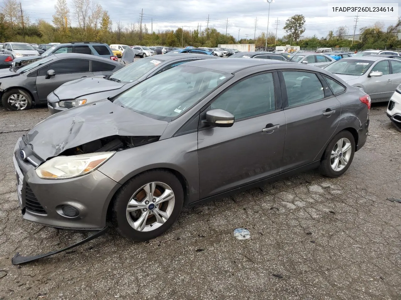 2013 Ford Focus Se VIN: 1FADP3F26DL234614 Lot: 79277994