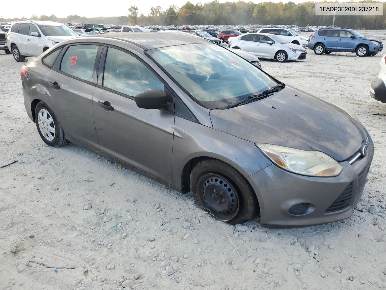 2013 Ford Focus S VIN: 1FADP3E20DL237218 Lot: 79358824