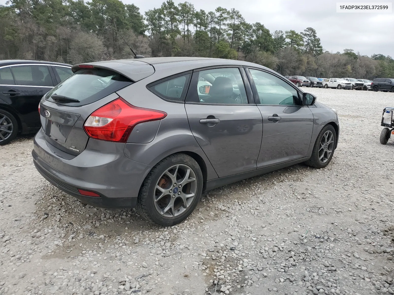 2014 Ford Focus Se VIN: 1FADP3K23EL372599 Lot: 44388334