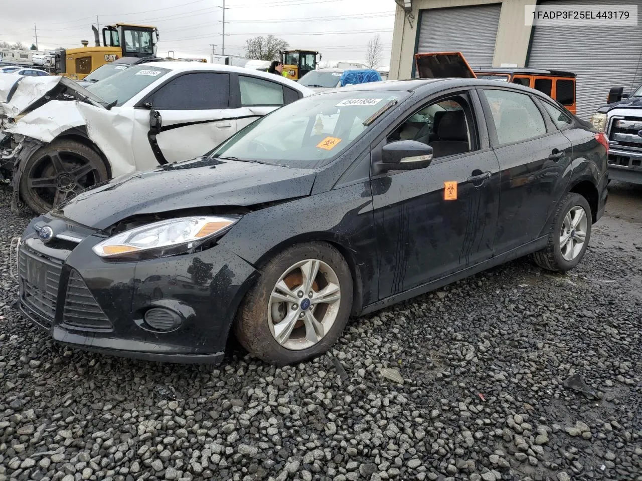 2014 Ford Focus Se VIN: 1FADP3F25EL443179 Lot: 45441884