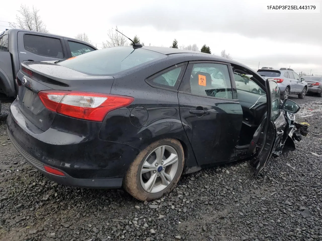 2014 Ford Focus Se VIN: 1FADP3F25EL443179 Lot: 45441884