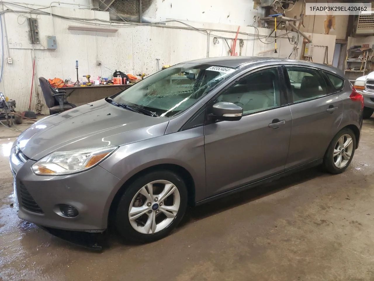 2014 Ford Focus Se VIN: 1FADP3K29EL420462 Lot: 50353464