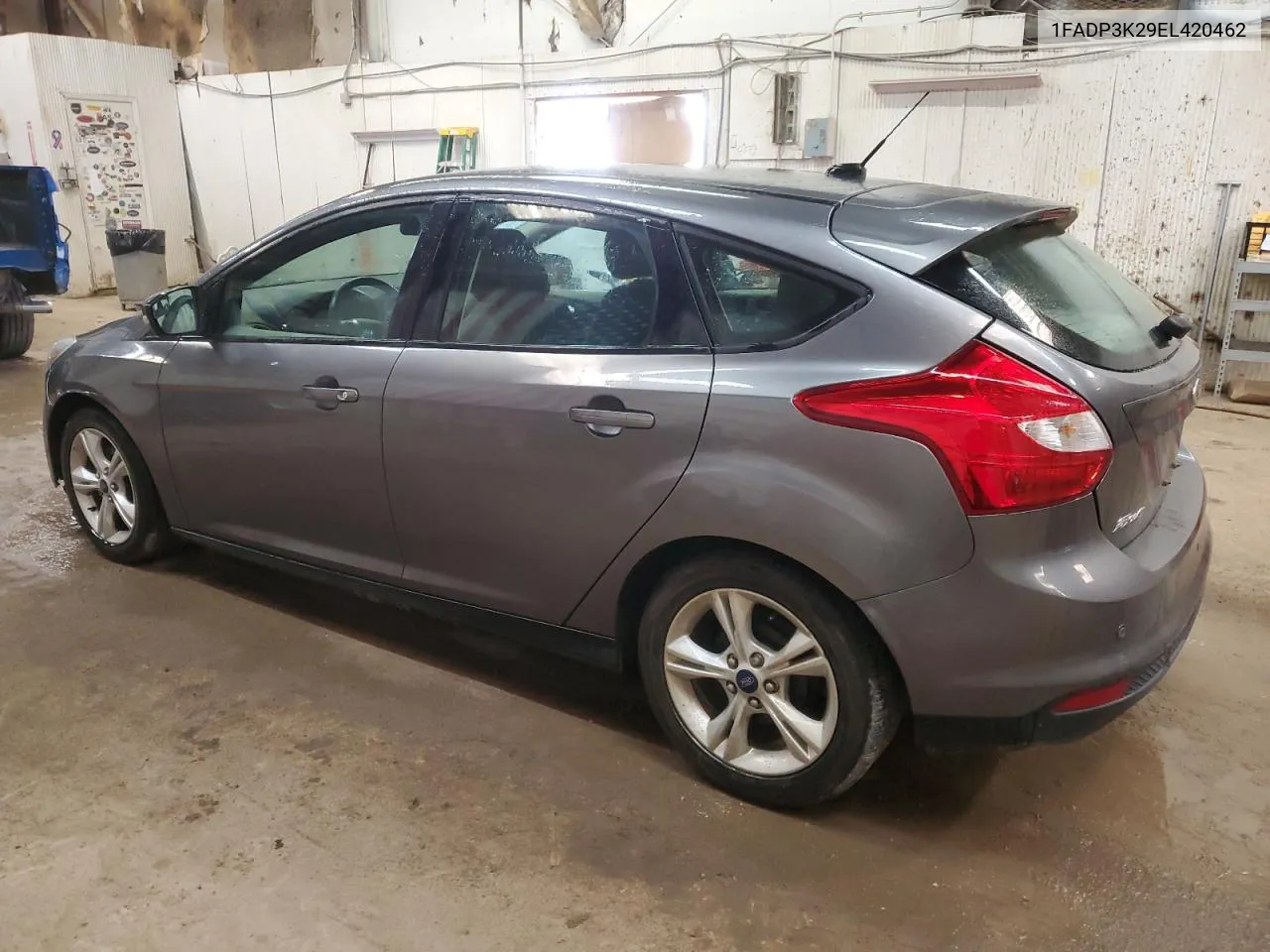 2014 Ford Focus Se VIN: 1FADP3K29EL420462 Lot: 50353464