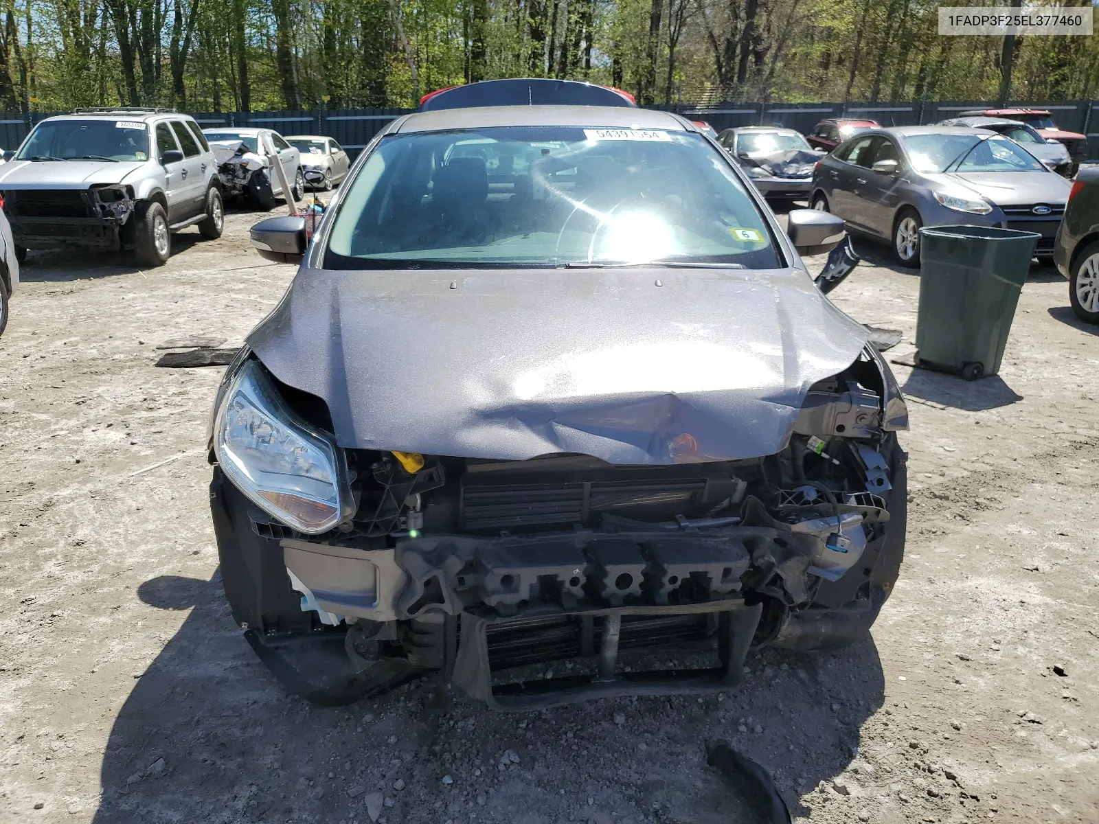 1FADP3F25EL377460 2014 Ford Focus Se