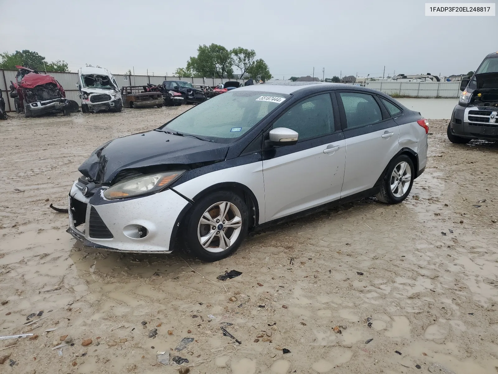 2014 Ford Focus Se VIN: 1FADP3F20EL248817 Lot: 55187444