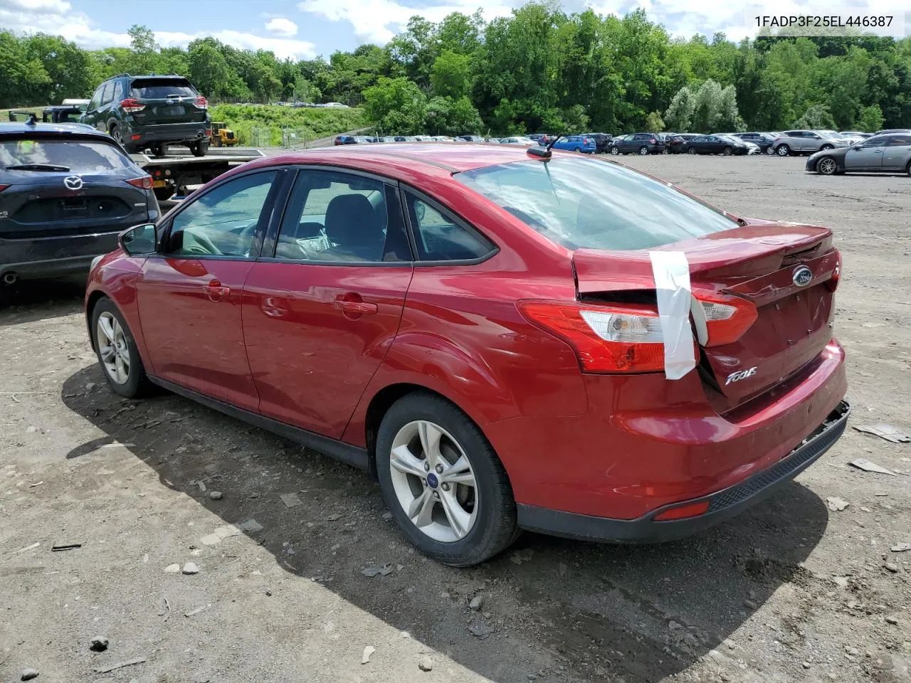 2014 Ford Focus Se VIN: 1FADP3F25EL446387 Lot: 55875114