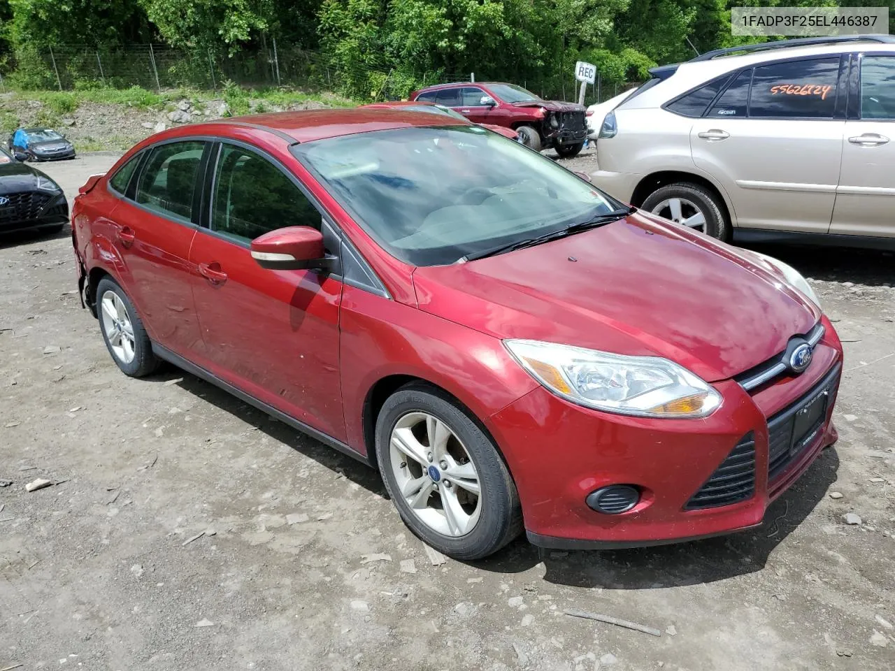 2014 Ford Focus Se VIN: 1FADP3F25EL446387 Lot: 55875114