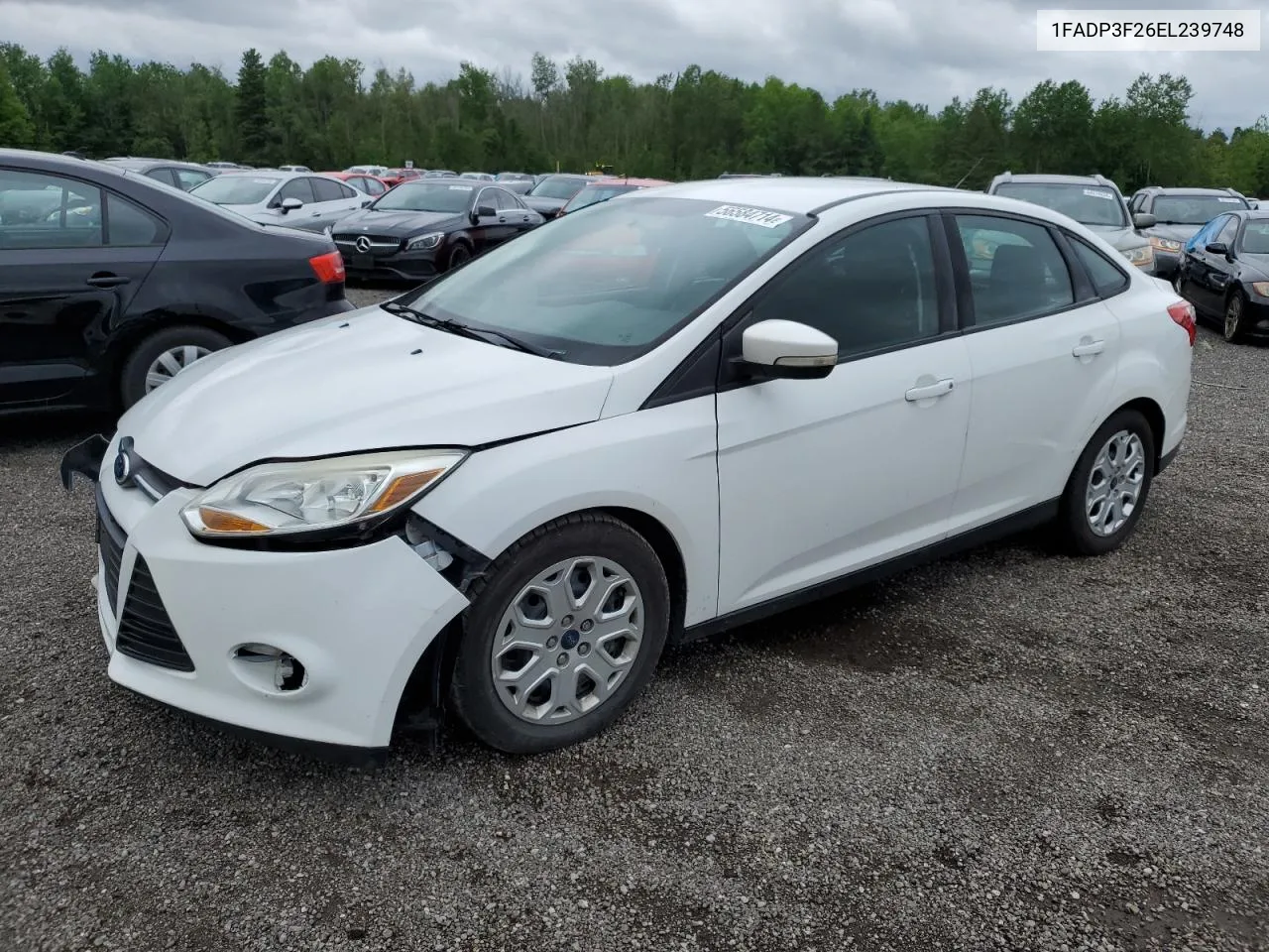 2014 Ford Focus Se VIN: 1FADP3F26EL239748 Lot: 56584714