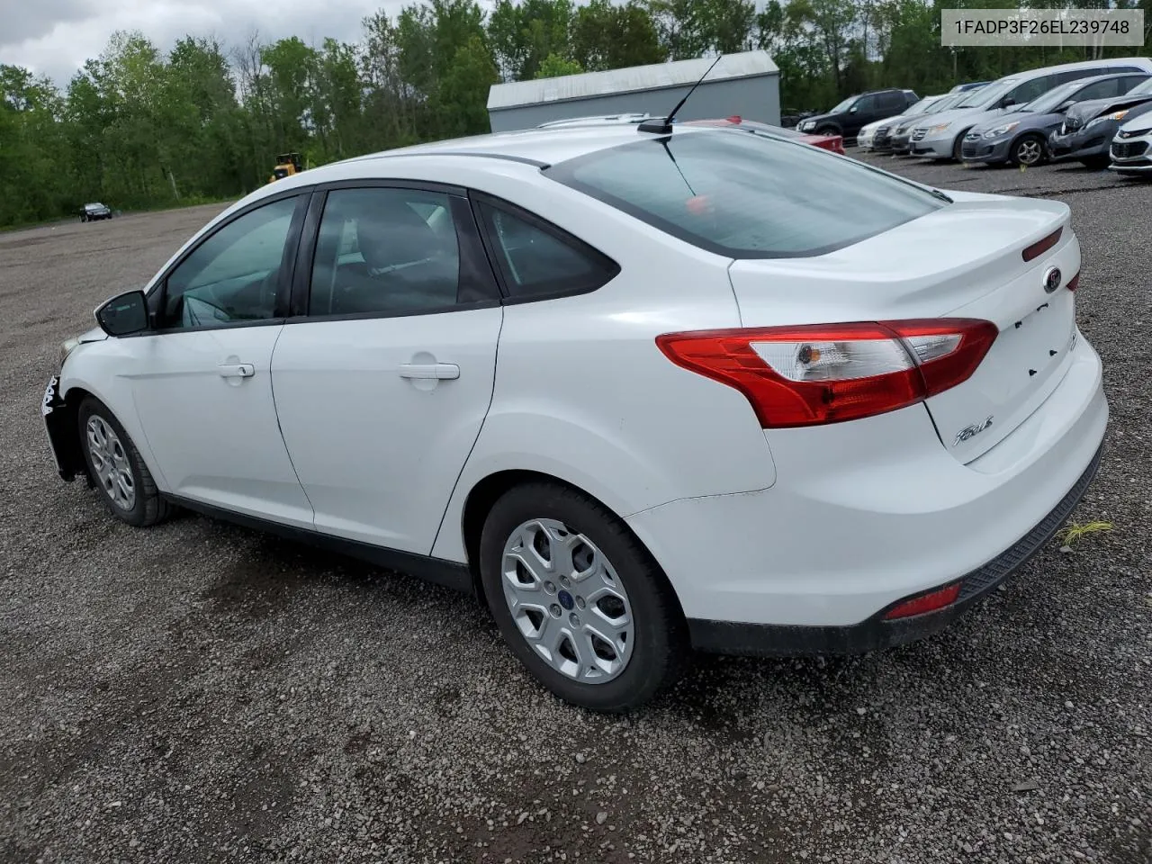 2014 Ford Focus Se VIN: 1FADP3F26EL239748 Lot: 56584714