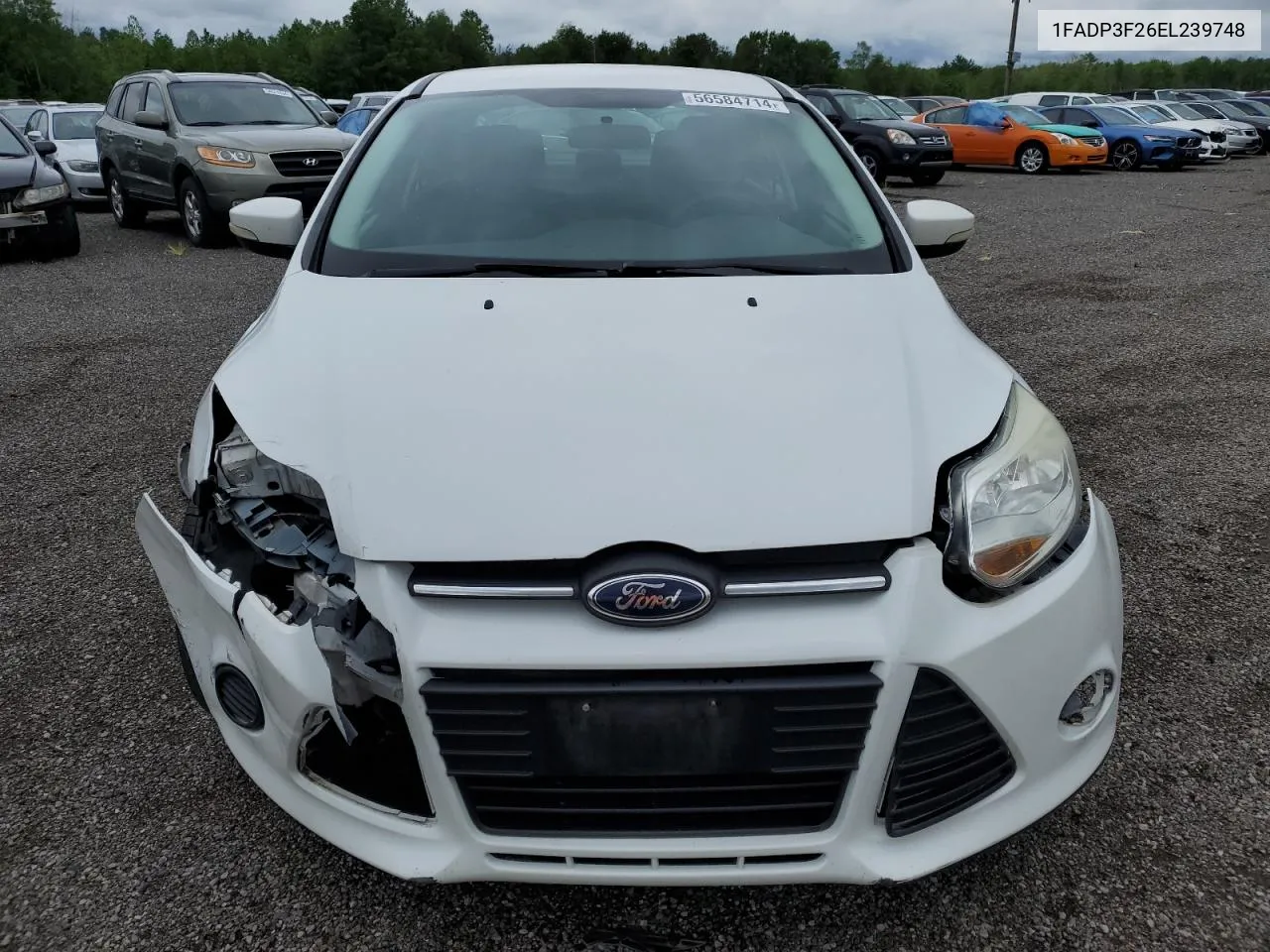 2014 Ford Focus Se VIN: 1FADP3F26EL239748 Lot: 56584714