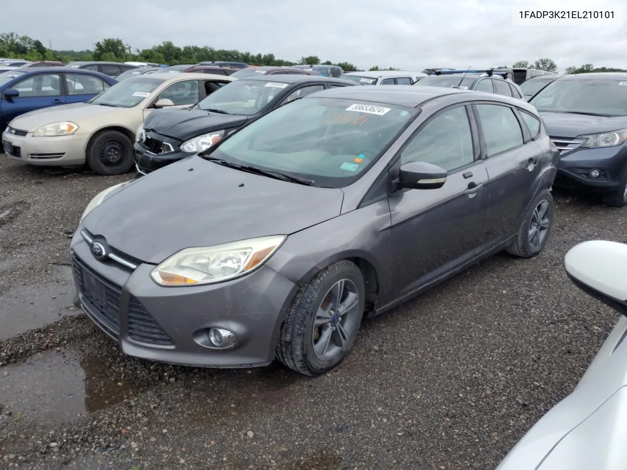 1FADP3K21EL210101 2014 Ford Focus Se