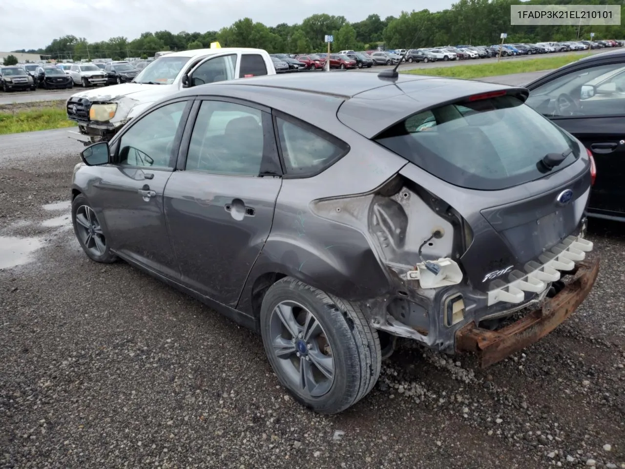 2014 Ford Focus Se VIN: 1FADP3K21EL210101 Lot: 58653624