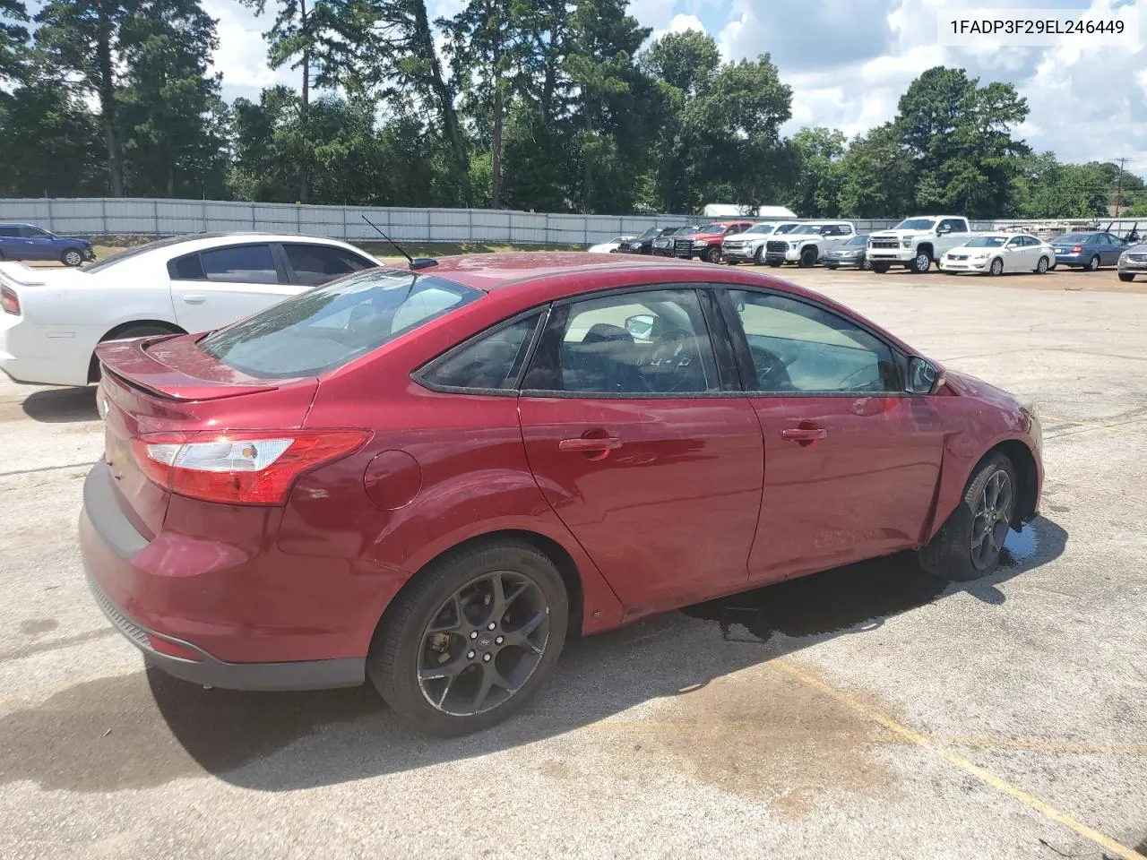 2014 Ford Focus Se VIN: 1FADP3F29EL246449 Lot: 59921914