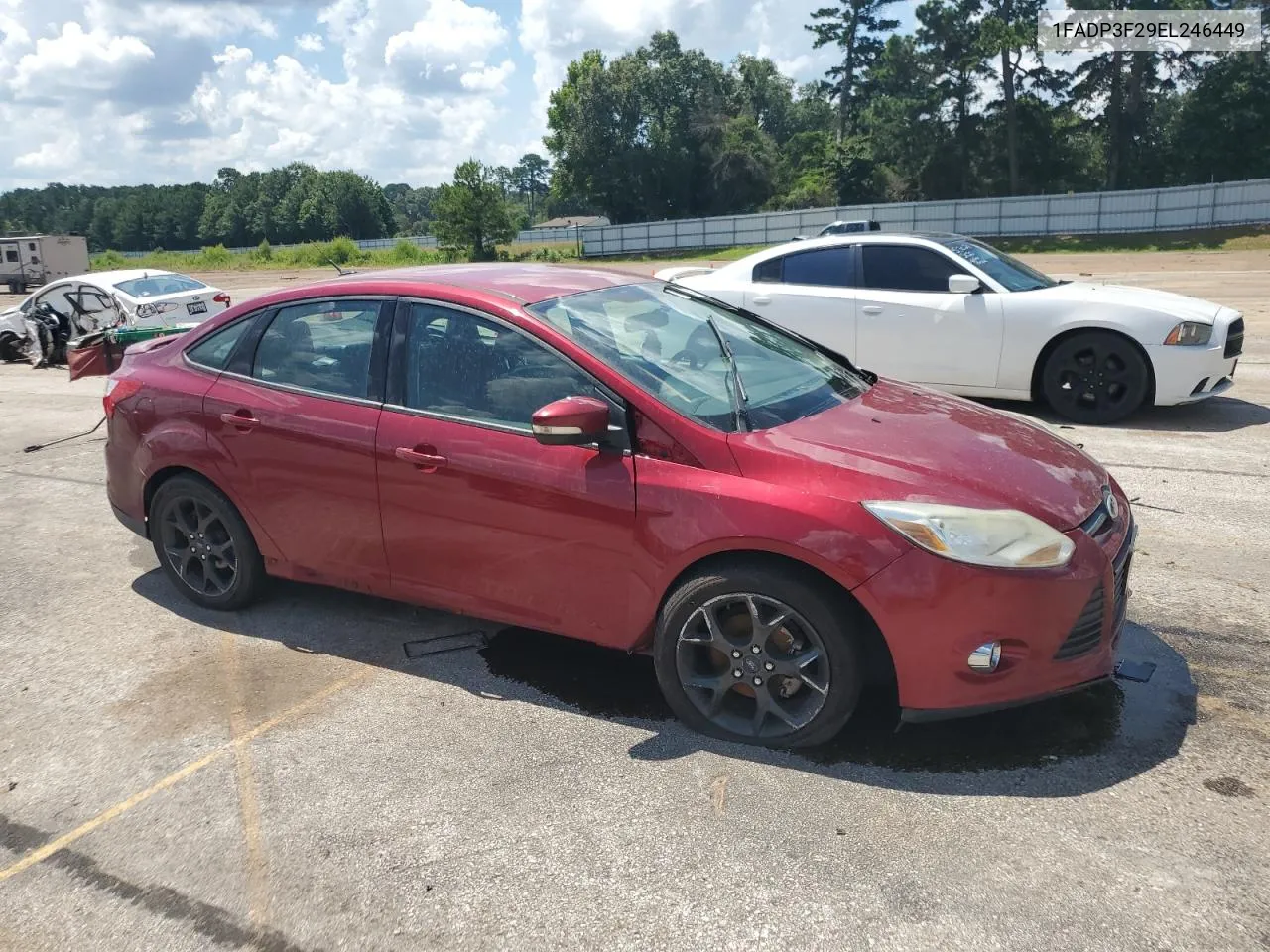 2014 Ford Focus Se VIN: 1FADP3F29EL246449 Lot: 59921914