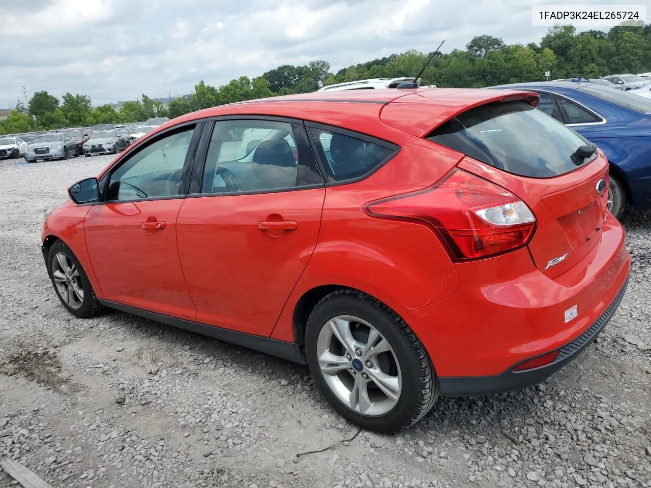 2014 Ford Focus Se VIN: 1FADP3K24EL265724 Lot: 60562944