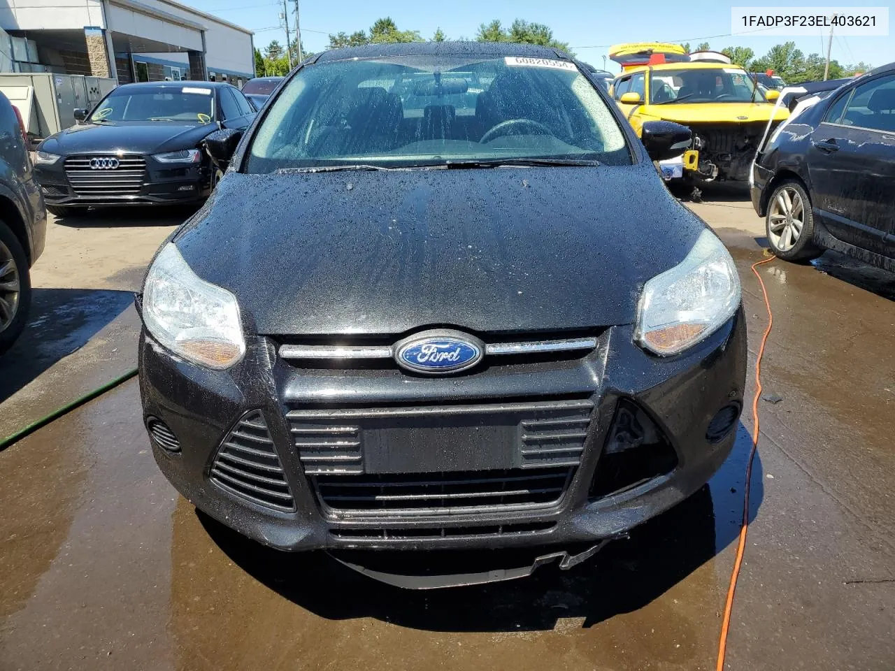 2014 Ford Focus Se VIN: 1FADP3F23EL403621 Lot: 60820554